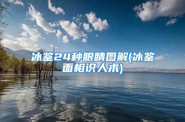 冰鉴24种眼睛图解(冰鉴面相识人术)