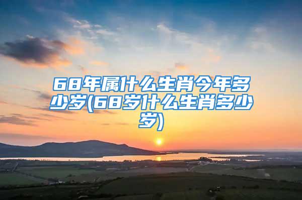 68年属什么生肖今年多少岁(68岁什么生肖多少岁)