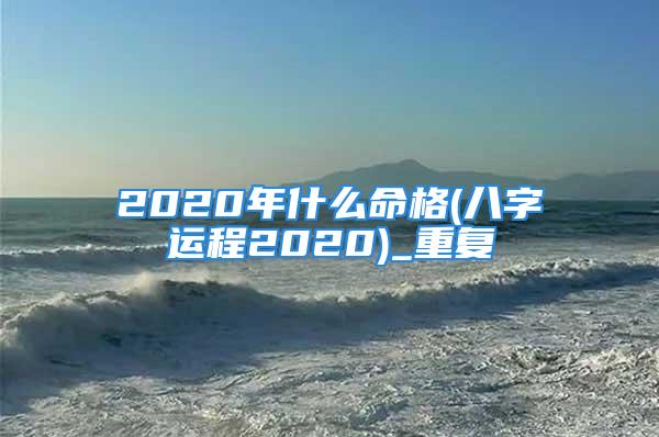 2020年什么命格(八字运程2020)_重复