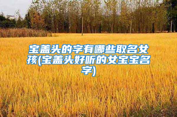 宝盖头的字有哪些取名女孩(宝盖头好听的女宝宝名字)