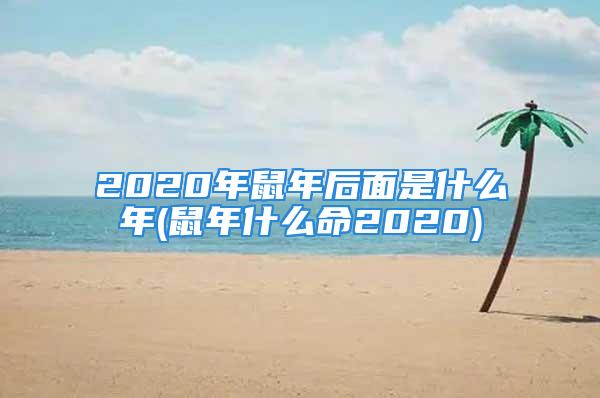 2020年鼠年后面是什么年(鼠年什么命2020)