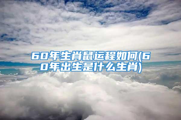 60年生肖鼠运程如何(60年出生是什么生肖)