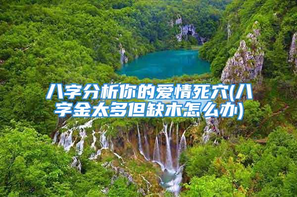 八字分析你的爱情死穴(八字金太多但缺木怎么办)