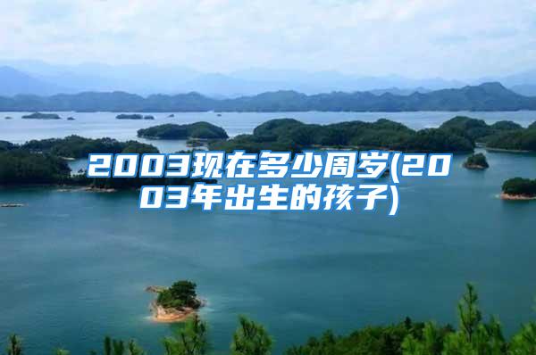 2003现在多少周岁(2003年出生的孩子)