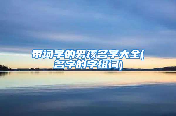 带词字的男孩名字大全(名字的字组词)