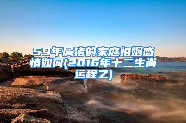 59年属猪的家庭婚姻感情如何(2016年十二生肖运程之)