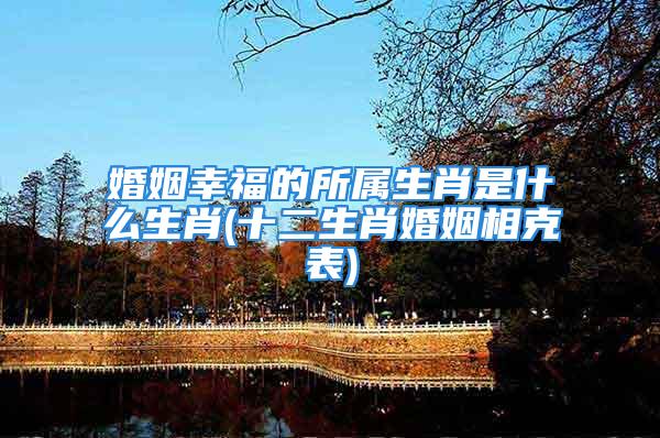 婚姻幸福的所属生肖是什么生肖(十二生肖婚姻相克表)