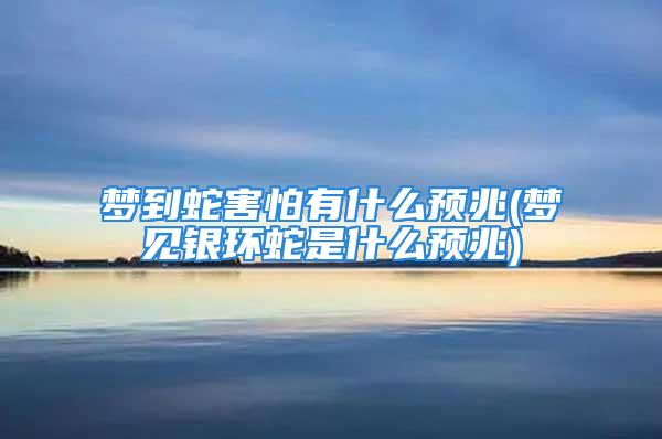 梦到蛇害怕有什么预兆(梦见银环蛇是什么预兆)