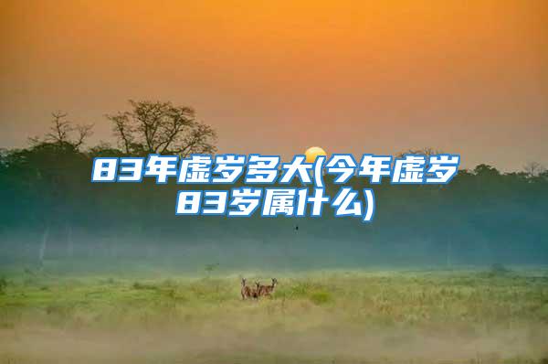 83年虚岁多大(今年虚岁83岁属什么)