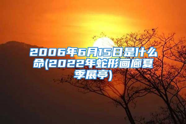 2006年6月15日是什么命(2022年蛇形画廊夏季展亭)