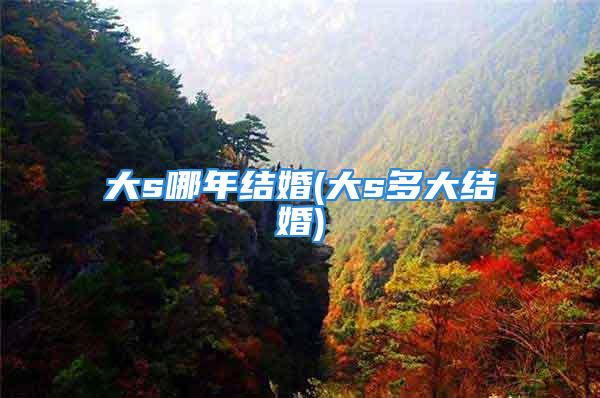 大s哪年结婚(大s多大结婚)