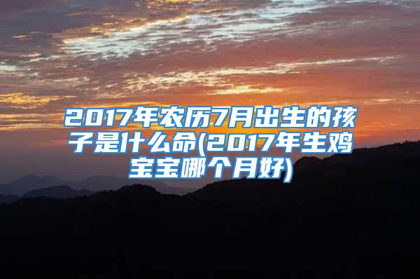 2017年农历7月出生的孩子是什么命(2017年生鸡宝宝哪个月好)