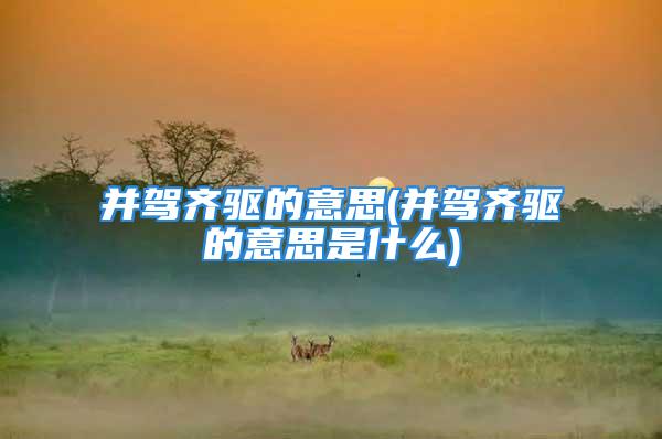 并驾齐驱的意思(并驾齐驱的意思是什么)