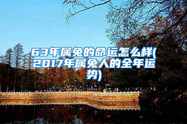 63年属兔的命运怎么样(2017年属兔人的全年运势)