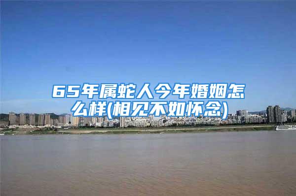 65年属蛇人今年婚姻怎么样(相见不如怀念)