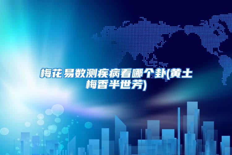 梅花易数测疾病看哪个卦(黄土梅香半世芳)
