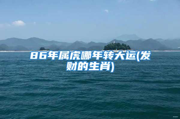 86年属虎哪年转大运(发财的生肖)