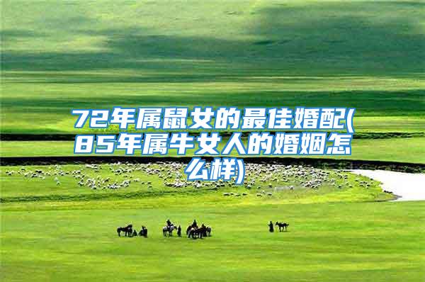 72年属鼠女的最佳婚配(85年属牛女人的婚姻怎么样)