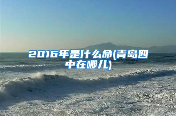 2016年是什么命(青岛四中在哪儿)