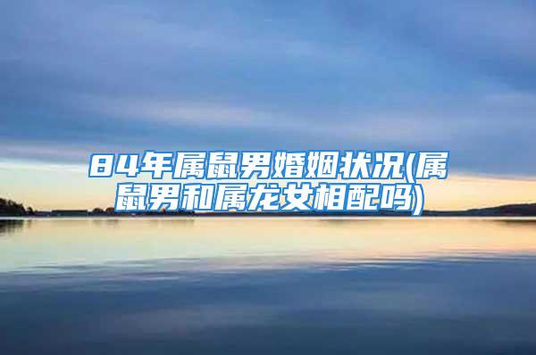 84年属鼠男婚姻状况(属鼠男和属龙女相配吗)