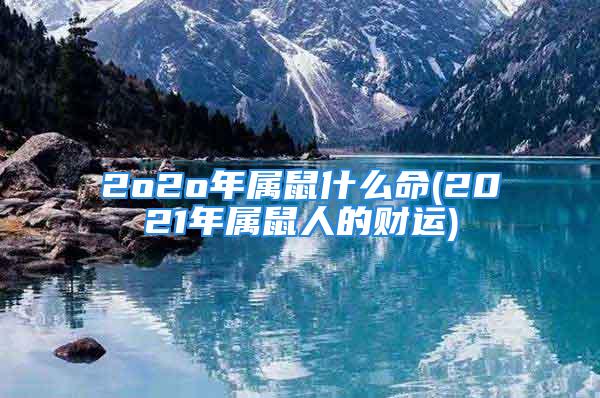 2o2o年属鼠什么命(2021年属鼠人的财运)