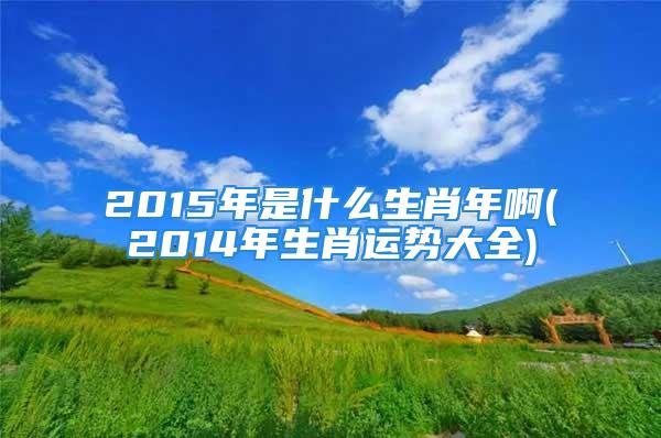 2015年是什么生肖年啊(2014年生肖运势大全)