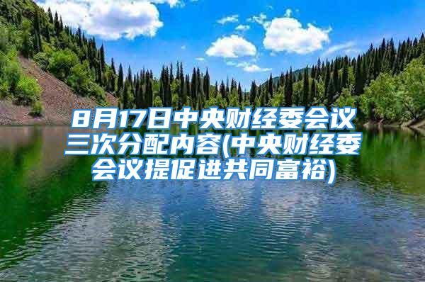 8月17日中央财经委会议三次分配内容(中央财经委会议提促进共同富裕)