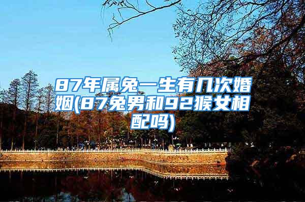 87年属兔一生有几次婚姻(87兔男和92猴女相配吗)