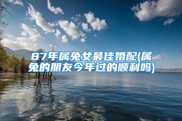87年属兔女最佳婚配(属兔的朋友今年过的顺利吗)