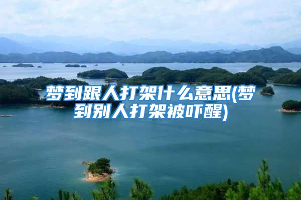 梦到跟人打架什么意思(梦到别人打架被吓醒)