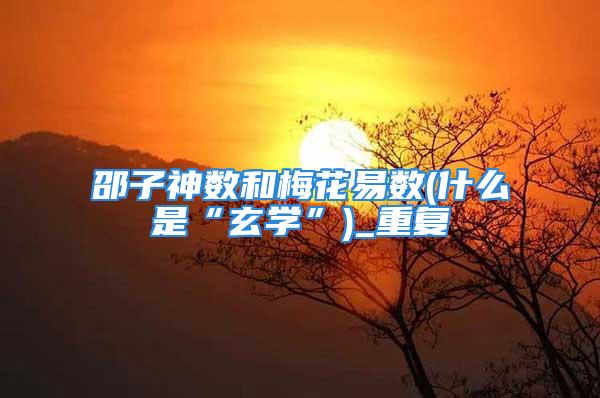邵子神数和梅花易数(什么是“玄学”)_重复
