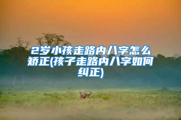 2岁小孩走路内八字怎么矫正(孩子走路内八字如何纠正)