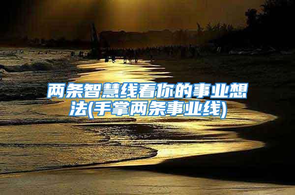 两条智慧线看你的事业想法(手掌两条事业线)