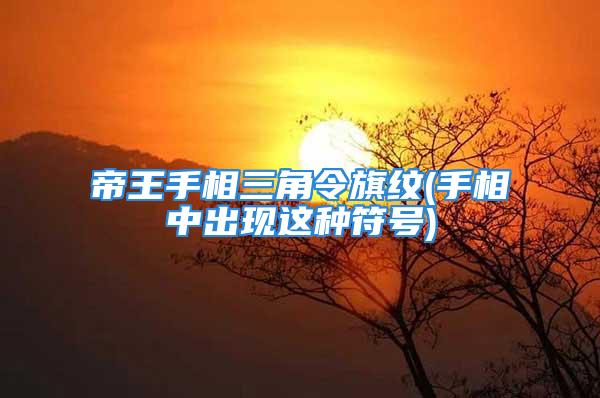 帝王手相三角令旗纹(手相中出现这种符号)
