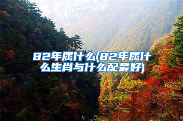 82年属什么(82年属什么生肖与什么配最好)