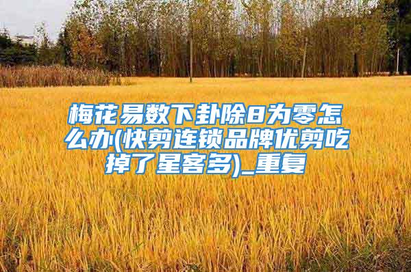梅花易数下卦除8为零怎么办(快剪连锁品牌优剪吃掉了星客多)_重复