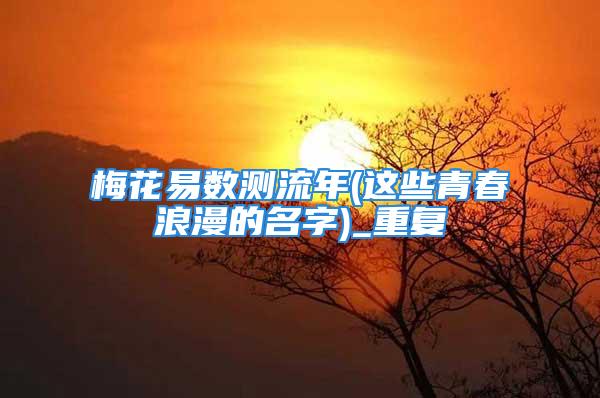梅花易数测流年(这些青春浪漫的名字)_重复