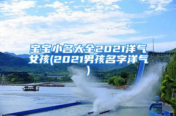 宝宝小名大全2021洋气女孩(2021男孩名字洋气)