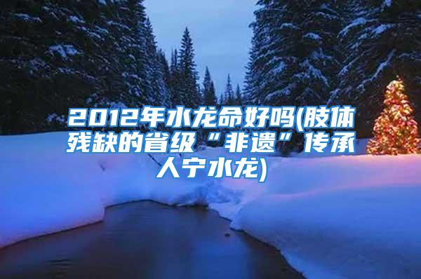 2012年水龙命好吗(肢体残缺的省级“非遗”传承人宁水龙)