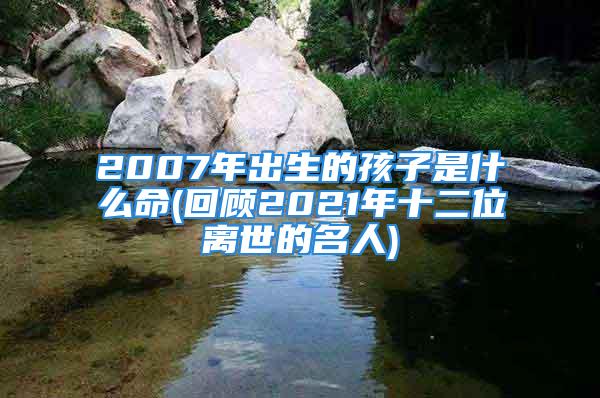 2007年出生的孩子是什么命(回顾2021年十二位离世的名人)