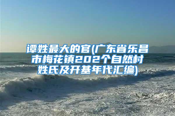 谭姓最大的官(广东省乐昌市梅花镇202个自然村姓氏及开基年代汇编)