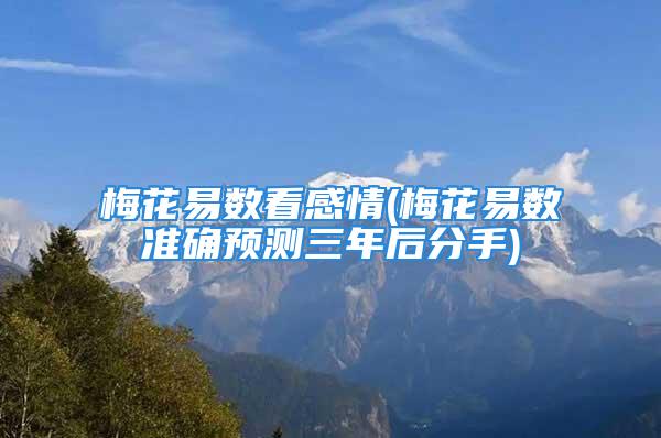 梅花易数看感情(梅花易数准确预测三年后分手)