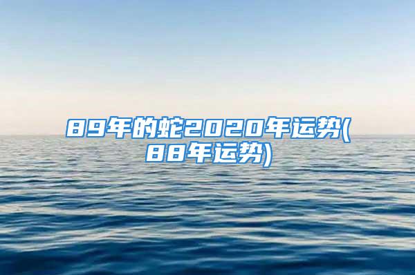 89年的蛇2020年运势(88年运势)