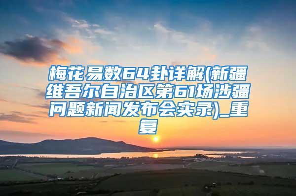 梅花易数64卦详解(新疆维吾尔自治区第61场涉疆问题新闻发布会实录)_重复