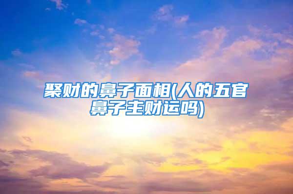 聚财的鼻子面相(人的五官鼻子主财运吗)