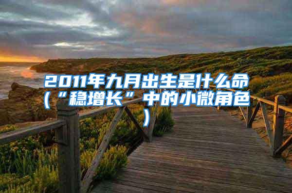 2011年九月出生是什么命(“稳增长”中的小微角色)