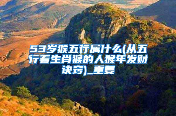 53岁猴五行属什么(从五行看生肖猴的人猴年发财诀窍)_重复