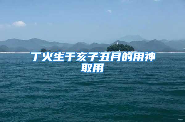 丁火生于亥子丑月的用神取用