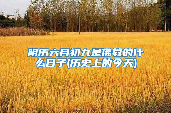 阴历六月初九是佛教的什么日子(历史上的今天)