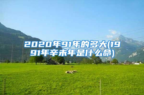 2020年91年的多大(1991年辛未年是什么命)